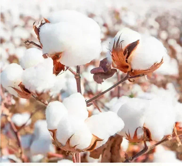 Anime Printed Tee - Premium Cotton, Elastic & Comfortable | Trendy Crew Neck T-shirt | Must-Have T-shirt for Anime Lovers!