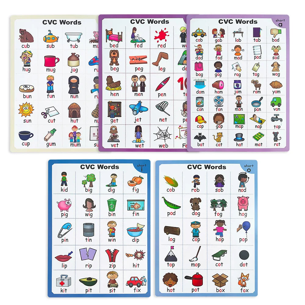 2books English CVC Words Phonics Workbook Language Arts Skills book for Kids children read & match & sound & sentence Worksheet